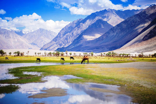 Nubra Valley