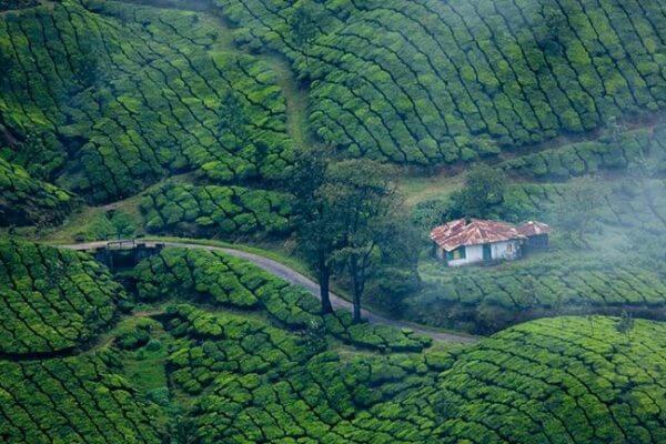 kerala tour packages updates