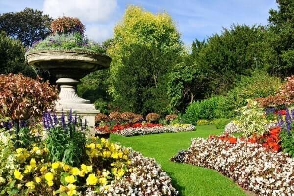 Ooty Tour Package from Bangalore, Botanical Garden