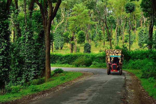 coorg budget tour packages