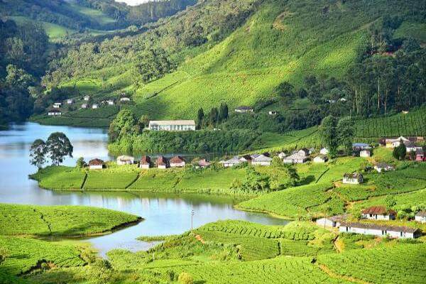 Munnar Hillstation Kerala Tourist Attraction