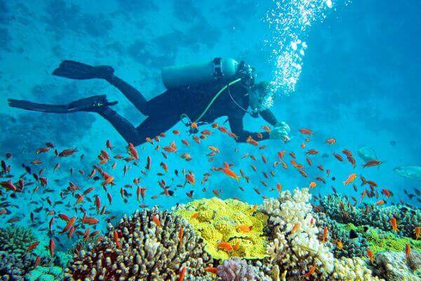 andaman nicobar tour package from bangalore