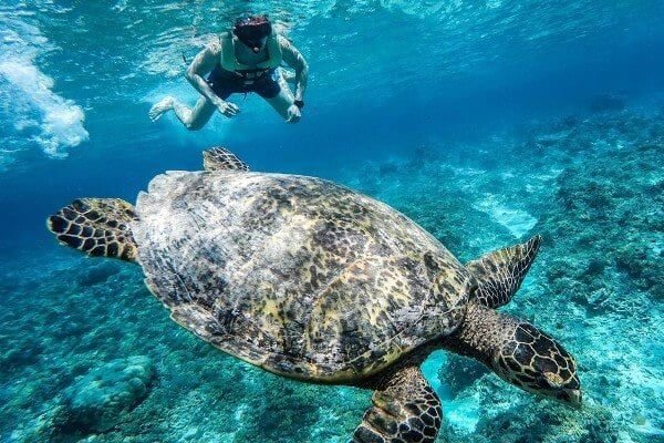 Gili island Attractions