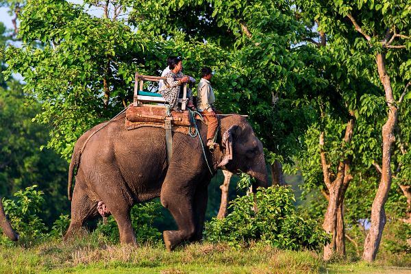 Chitwan national park, nepal tour packages